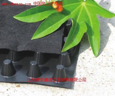 定西玻纤土工格栅厂家深度解析 产品图与样板图展示