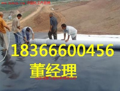 河北玻纤格栅厂家 诺联高清图片_产品图_样板图 - 中国化工产品网